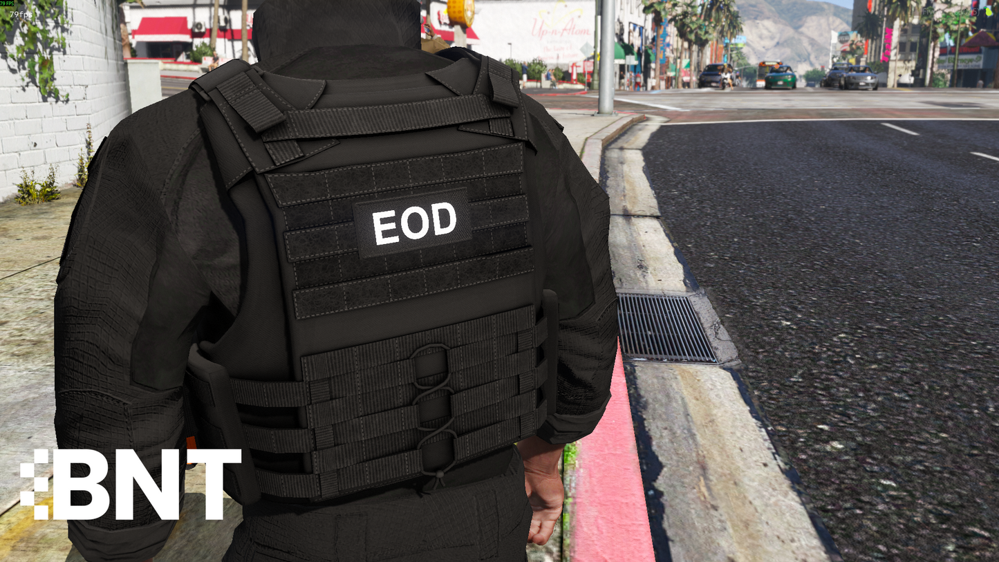Generic EOD Outfit